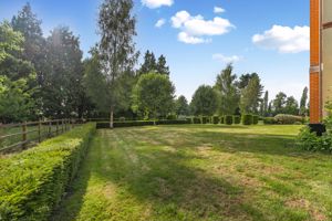 Photo 25- click for photo gallery